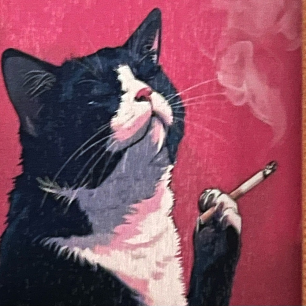 FAFO FRIDAY FOR FANS ONLY